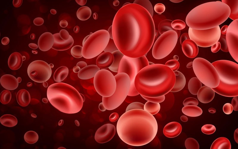Easy Solutions for Iron Deficiency