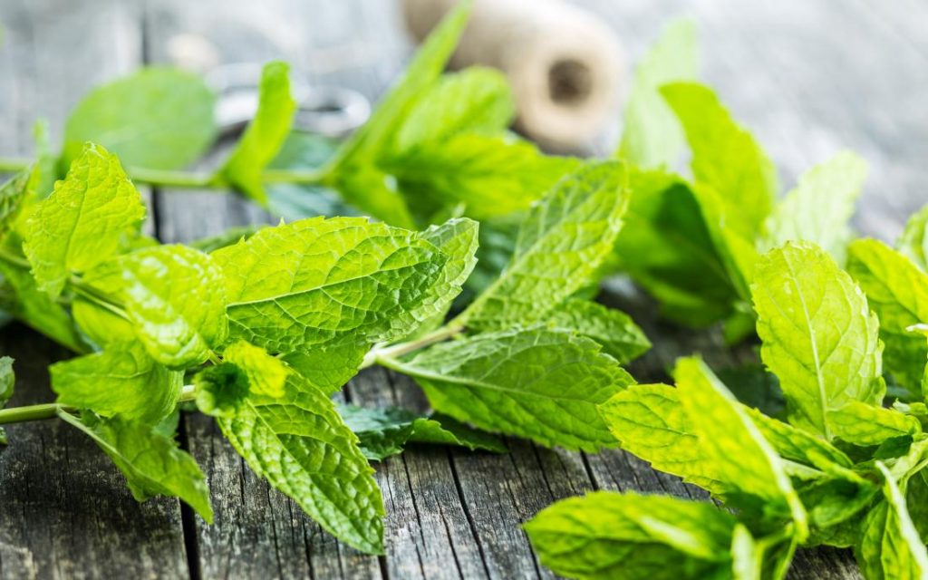 Herbs You Can Eat Raw