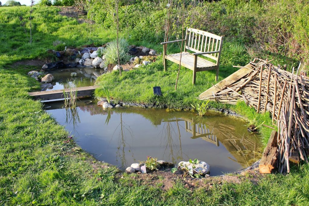 Attract Wildlife to Your Garden Pond