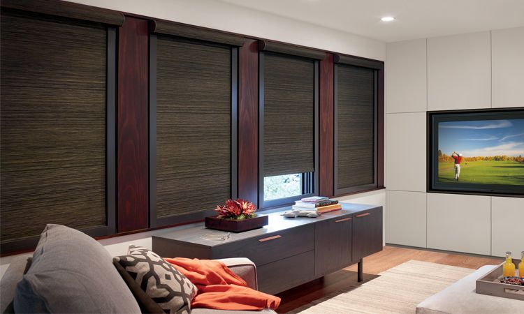 blackout window treatments