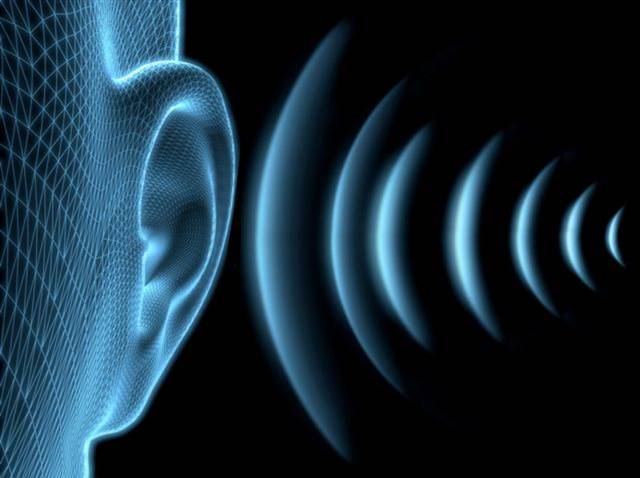 The Science of Acoustics 