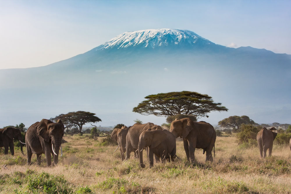 Best Places To Visit in Tanzania