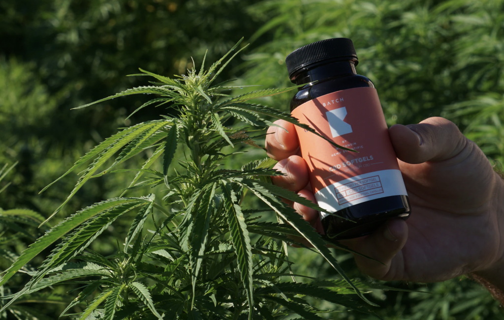 CBD Capsules