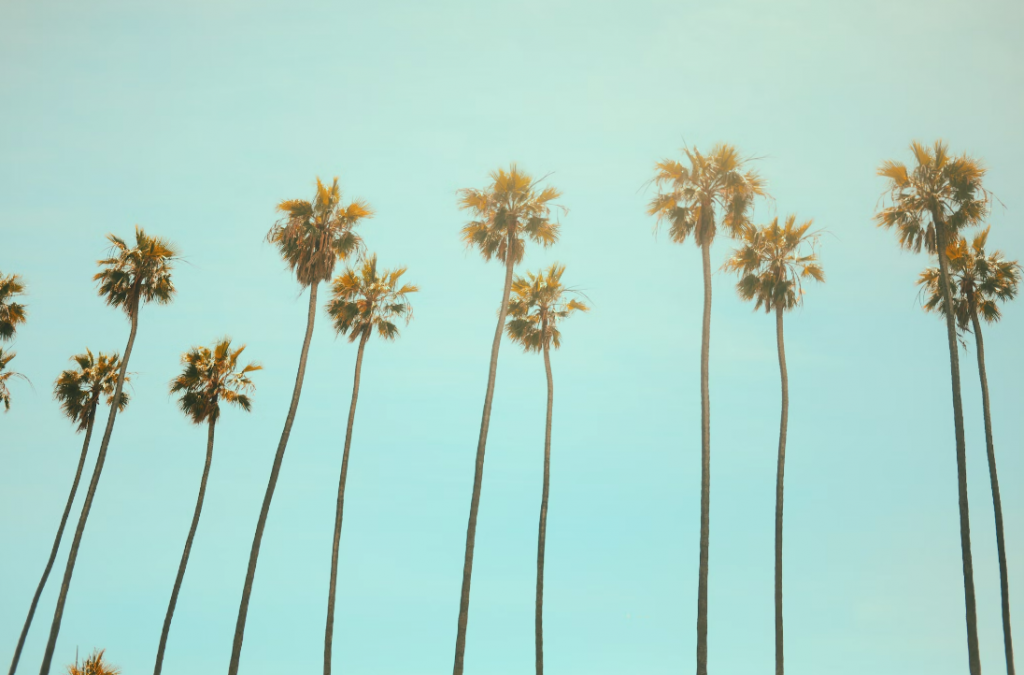 experience in California