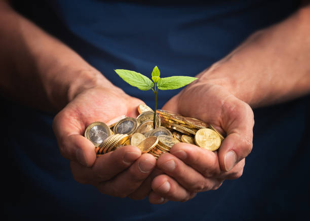 sustainable practices for investment