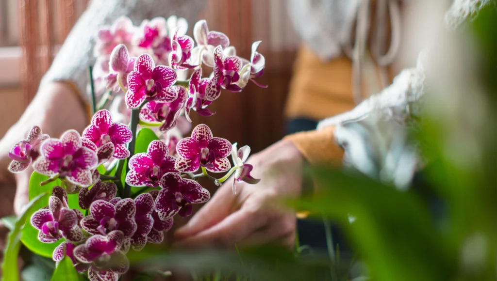 Choose The Right Flowers GIFT