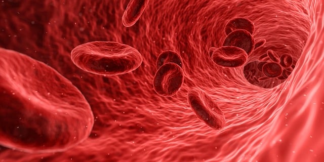 Nitric Oxide Supplement