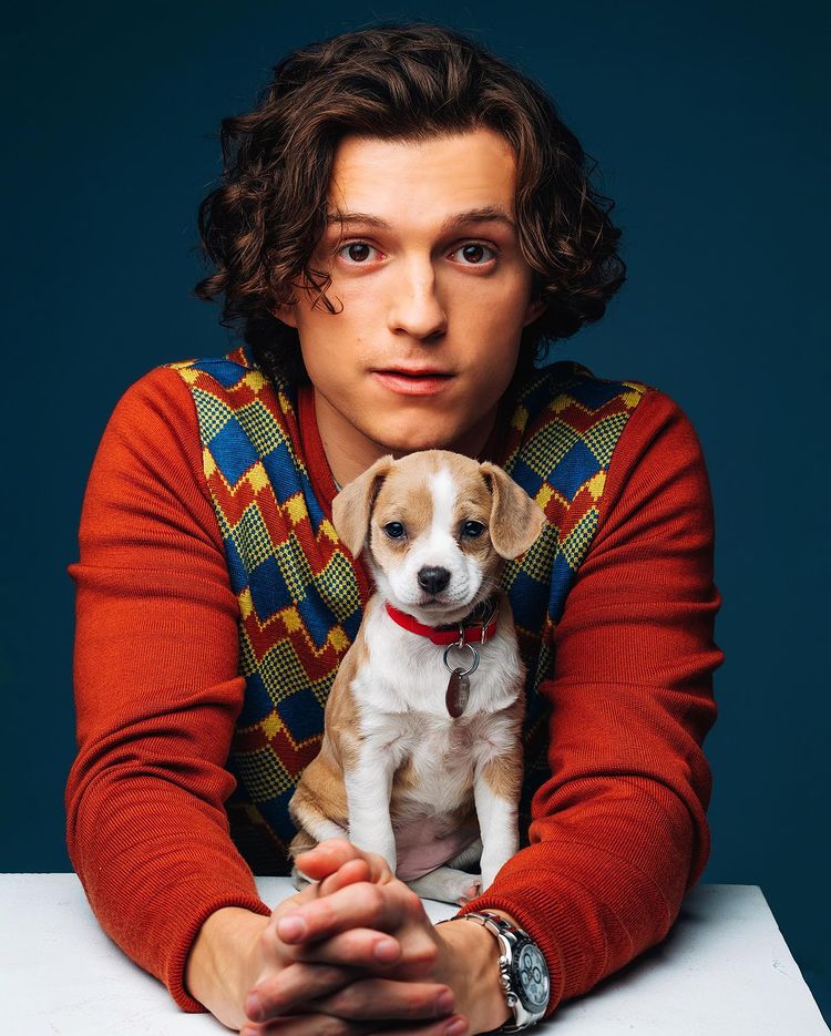 Tom Holland Bio
