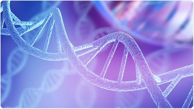 Understanding DNA Vaccines