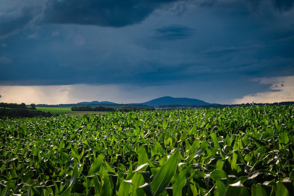 Agricultural Solutions for Various Climatic Conditions