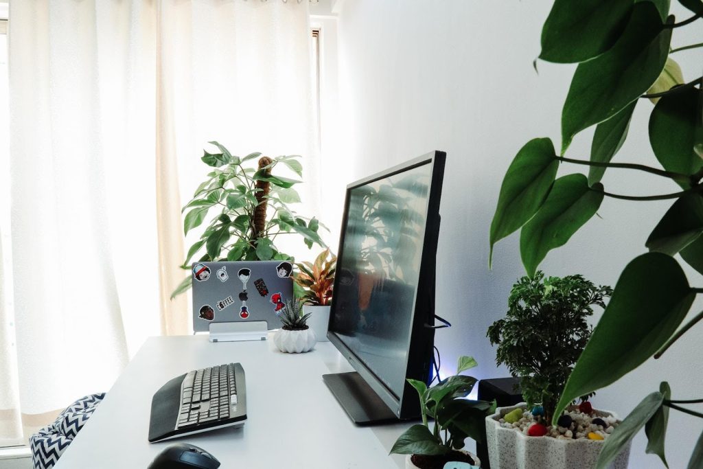 Indoor Gardening Growing Plants in Limited Spaces