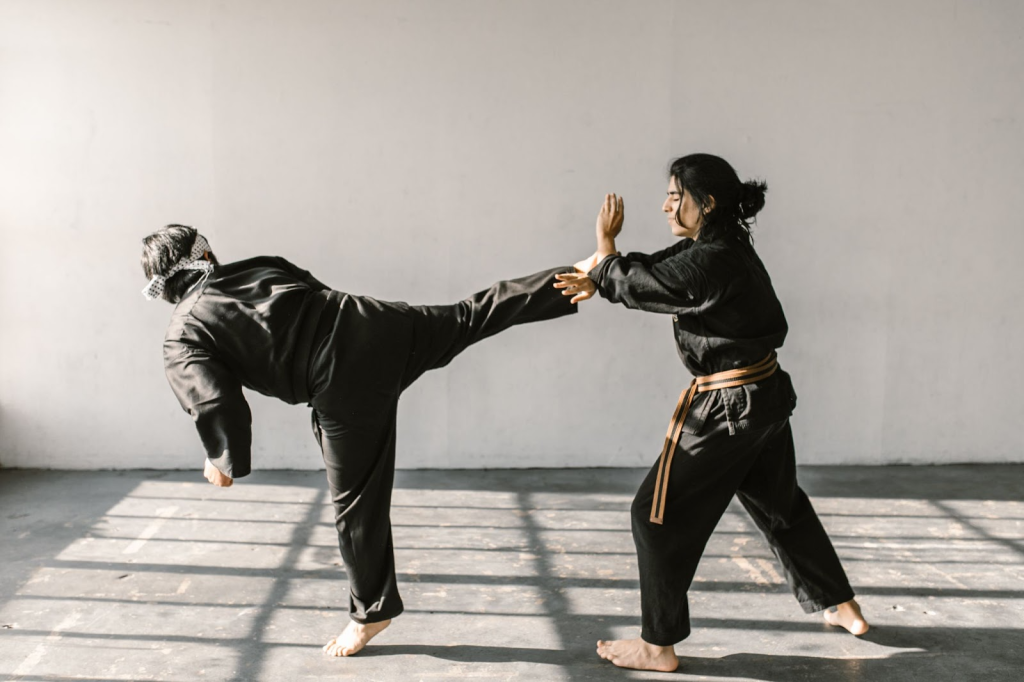 The Art Of Self-Defense