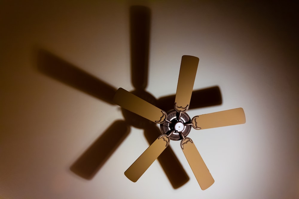 Buy Your Perfect Ceiling Fan with This Guide