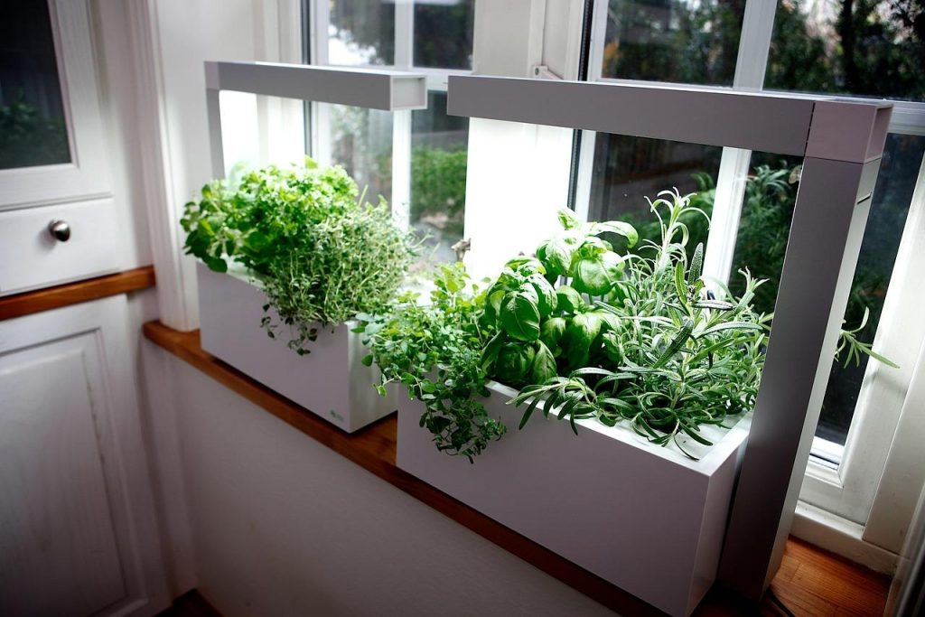 Make the Most Use of Your Conservatory