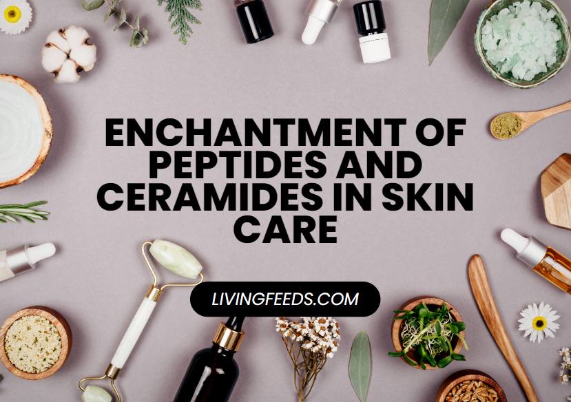 Enchantment of Peptides and Ceramides in Skin Care