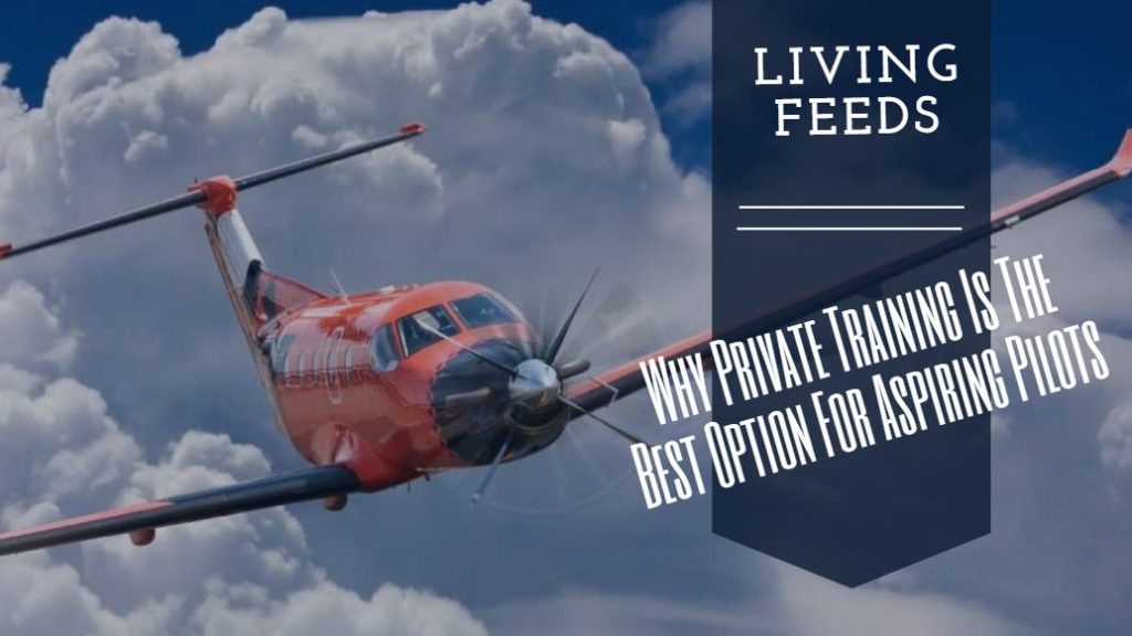 Why Private Training Is The Best Option For Aspiring Pilots