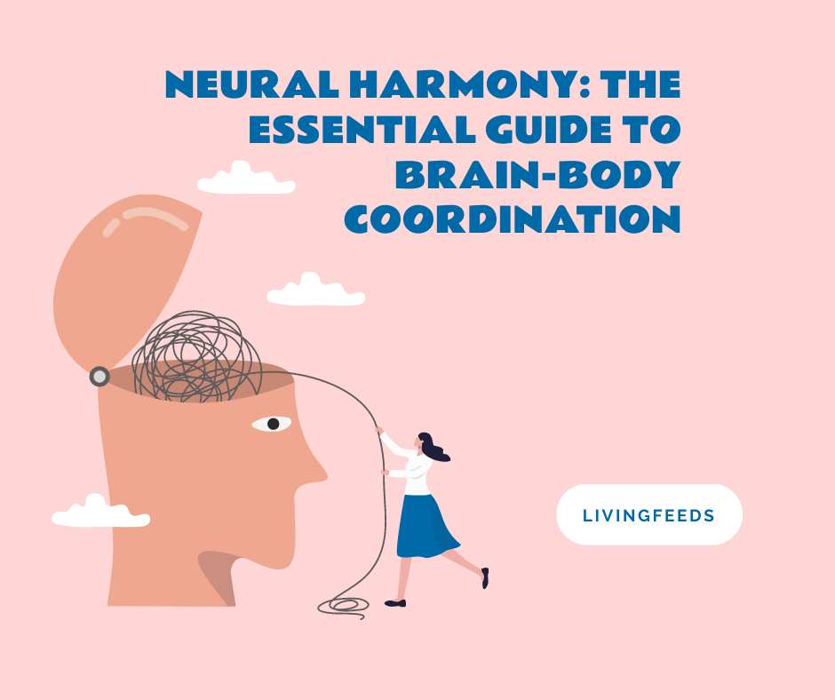 Neural Harmony: The Essential Guide to Brain-Body Coordination