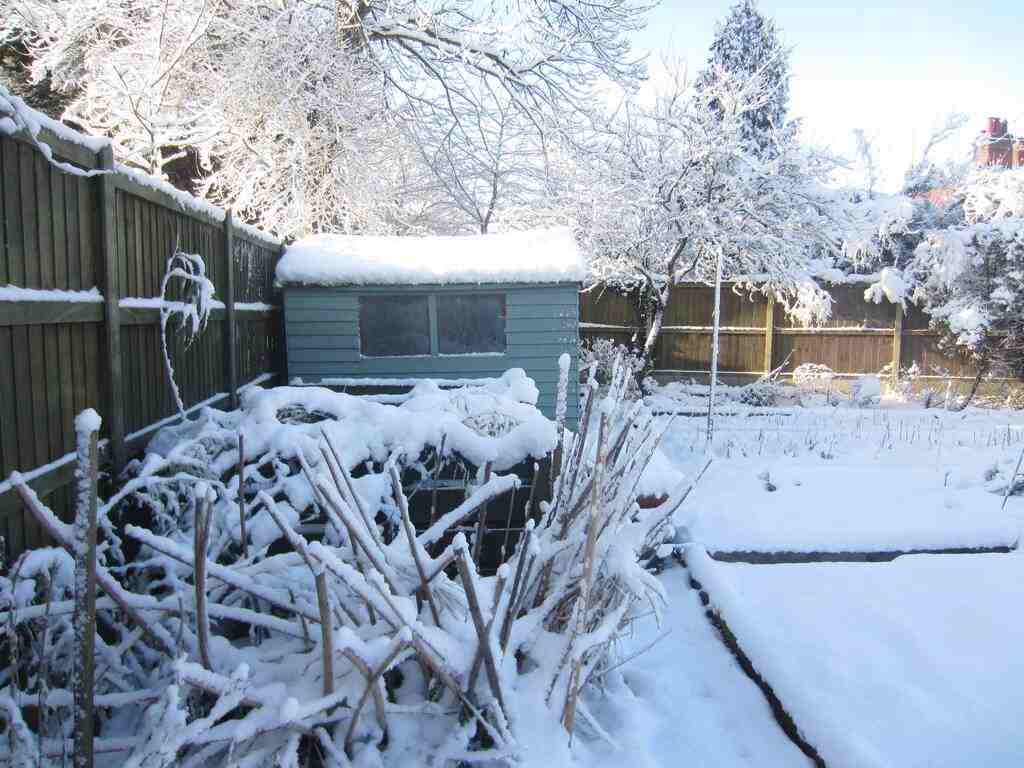 How To Take Care Of Your Garden In Winter Season