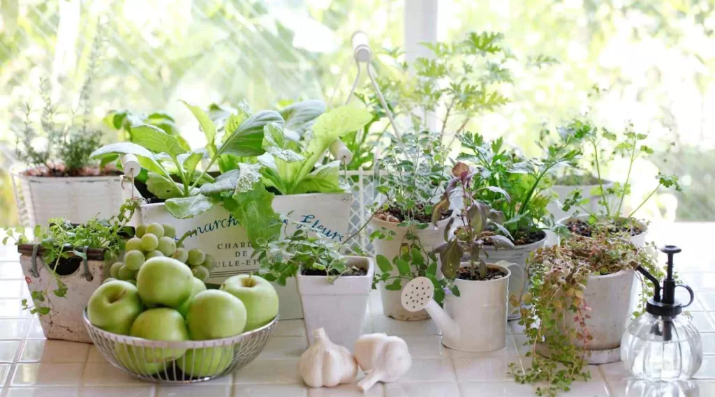 Eco-Friendly Kitchen Gardens Where Sustainability Meets Aesthetics