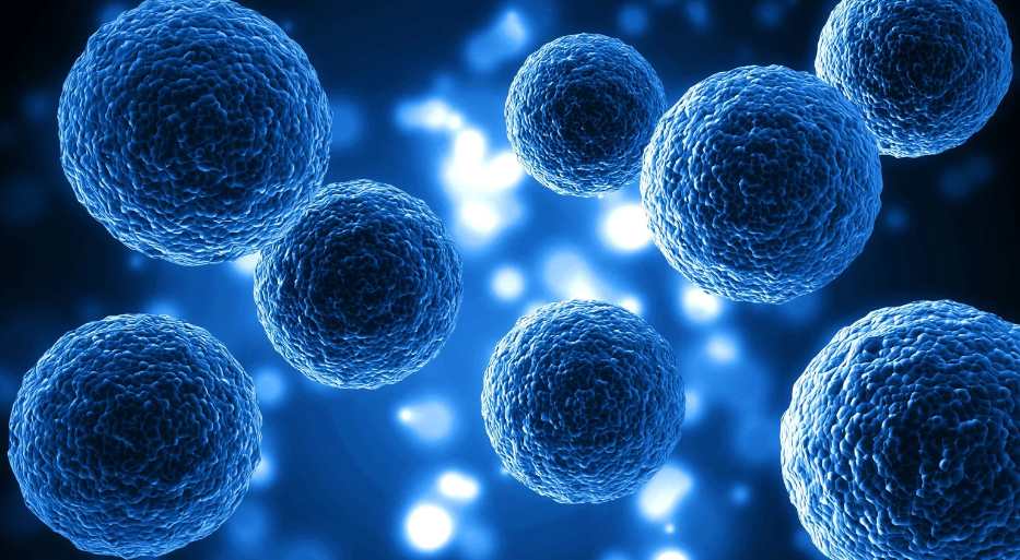 Hematopoietic Stem Cell Transplantation