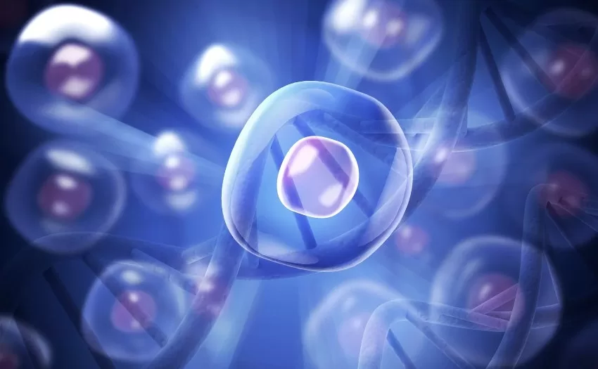 Stem Cell Therapy: A New Hope for Autoimmune Disease Patients