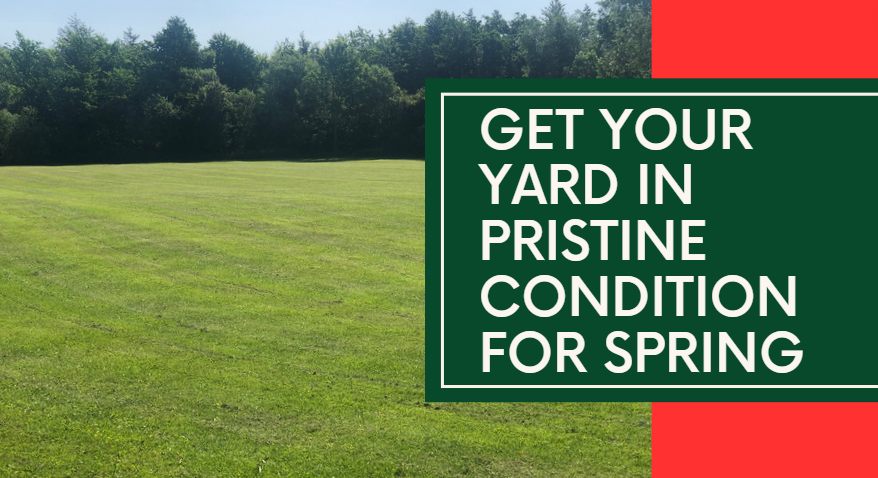 How to Get Your Yard in Pristine Condition for Spring