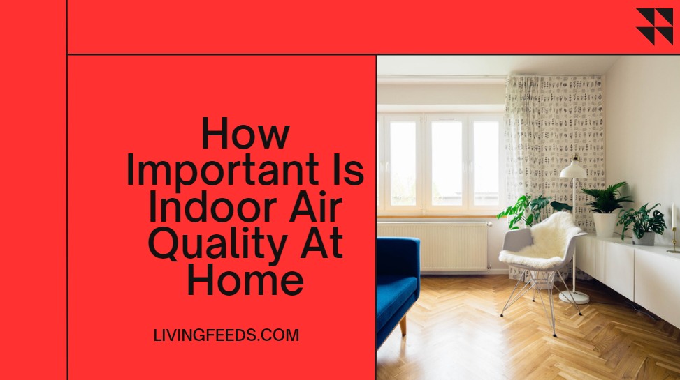 How Important Is Indoor Air Quality At Home_ (1)