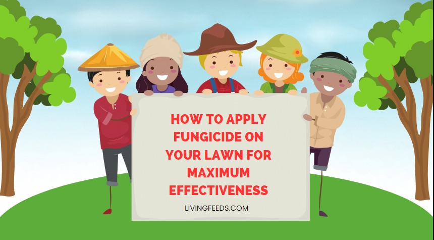 How To Apply Fungicide On Your Lawn For Maximum Effectiveness