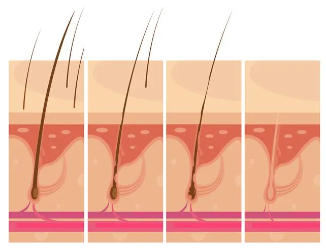 Eat your way to a healthy scalp