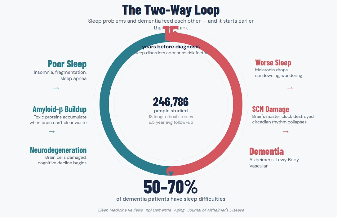 The Two-Way Loop
